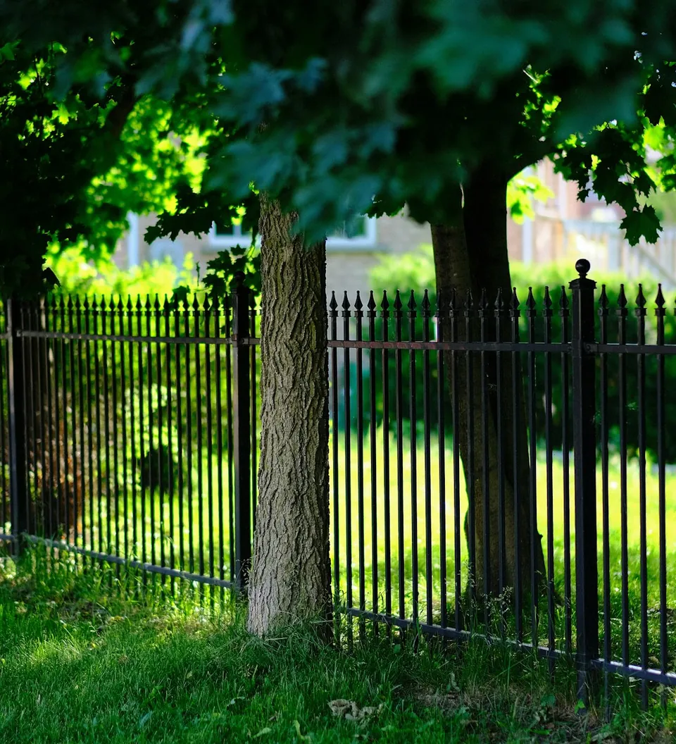 Reja de fierro negro junto a árboles en un parque